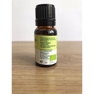 Óleo Essencial de Funcho | Digestão & Bem-Estar