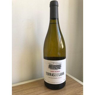 Vinho Branco Terras de Lava Pico | Refúgio Verde