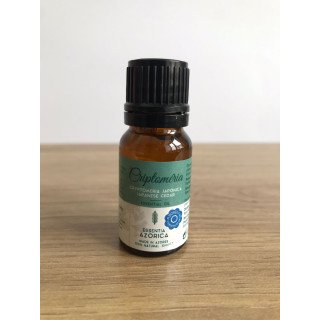 Óleo Essencial de Criptoméria dos Açores | Purificante