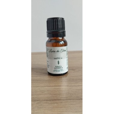 Óleo Essencial de Louro dos Açores | Purificante