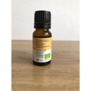 Óleo Essencial de Conteira dos Açores | Exótico