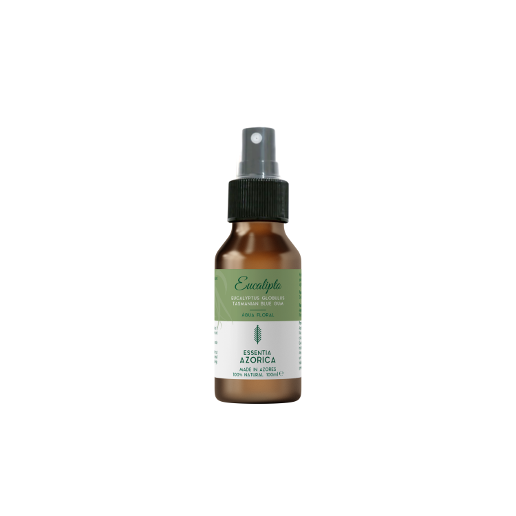Hidrolato de Eucalipto dos Açores | Frescor Purificante