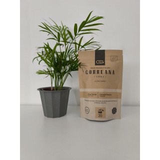 Chá Verde e Hortelã-Pimenta