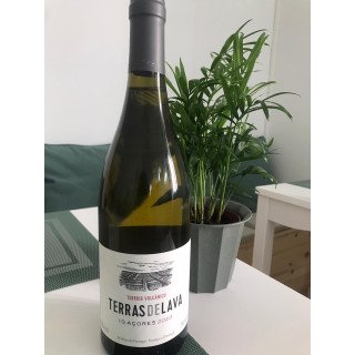 Vinho Branco Terras de Lava