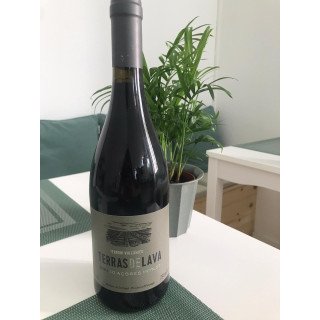 Vinho Tinto Merlot Terras de Lava