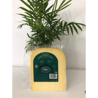 Queijo da Ilha Graciosa Milhafre