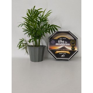 Queijo amanteigado Ilha dos Mistérios