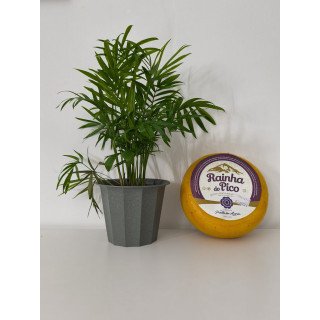 Queijo Rainha do Pico com Pimenta da Terra