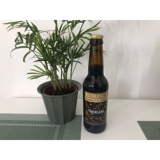 Cerveja Morgana/Porter