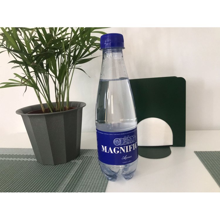 Água Gaseificada Magnificat