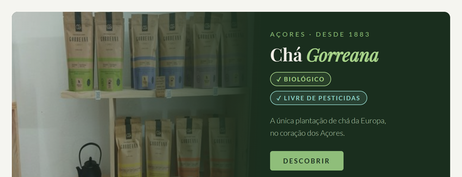 Converse Chuck High Top