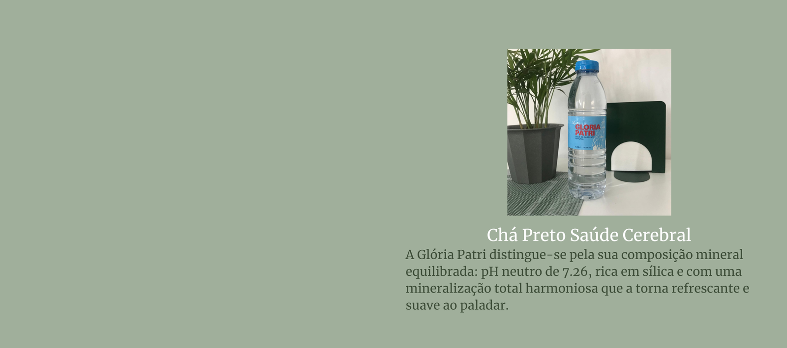 The Jordan Super.Fly MVP