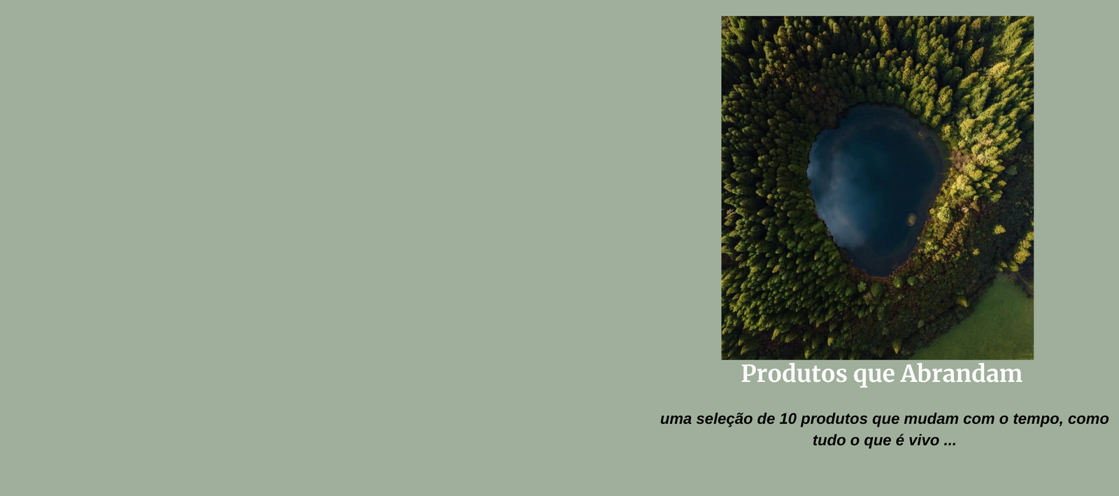 The Jordan Super.Fly MVP