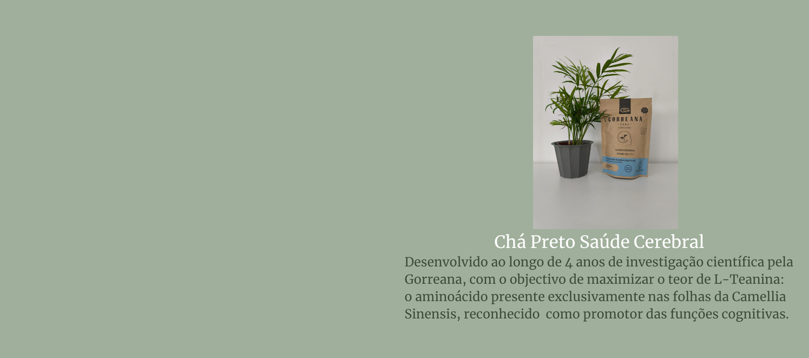 The Jordan Super.Fly MVP