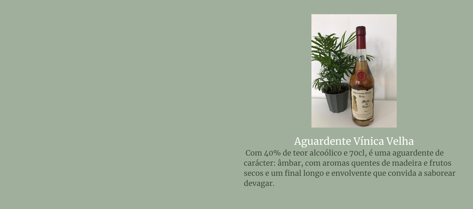 The Jordan Super.Fly MVP