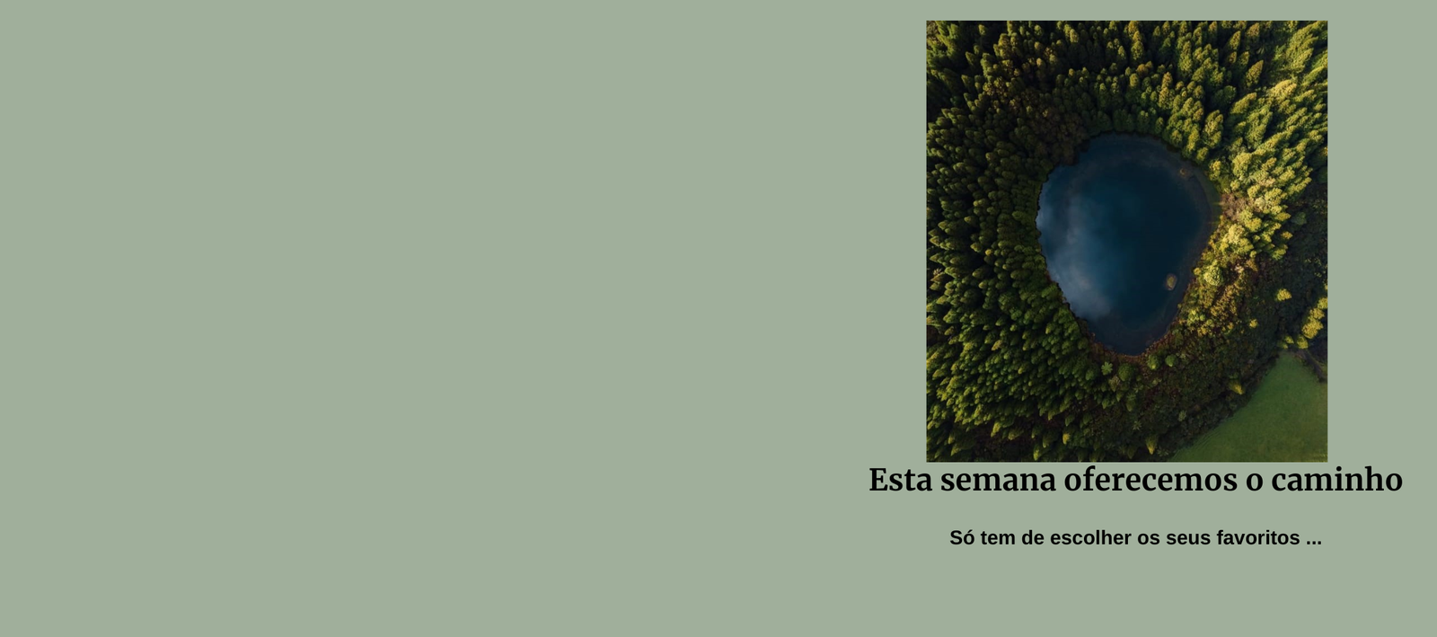 The Jordan Super.Fly MVP