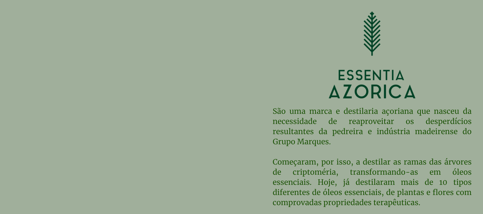 The Jordan Super.Fly MVP