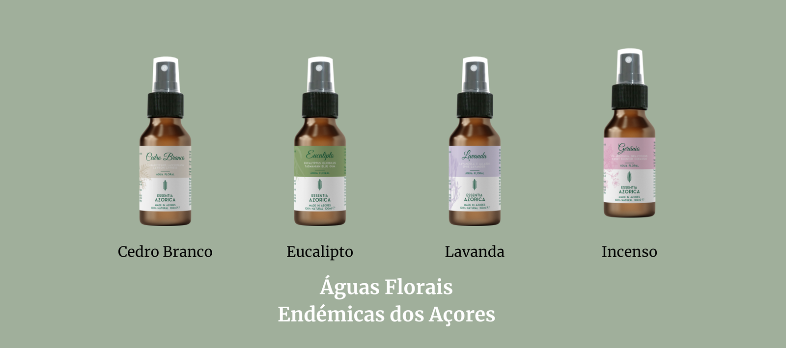 The Jordan Super.Fly MVP