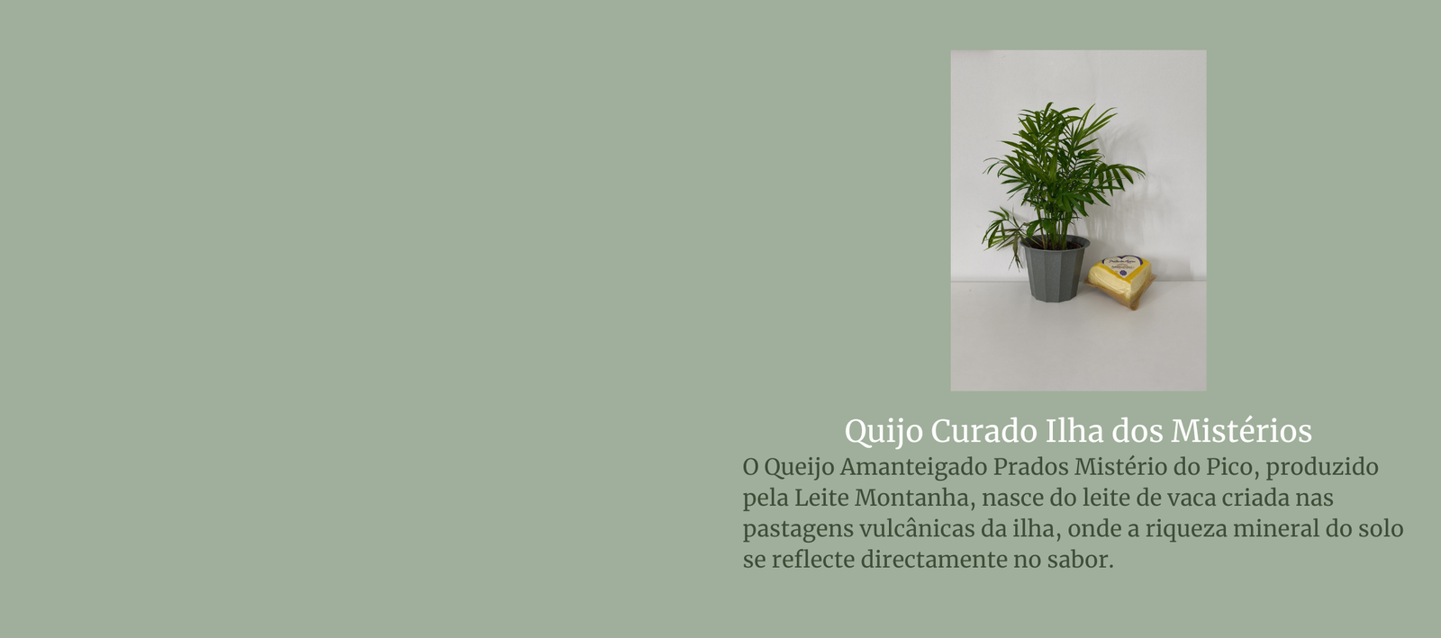 The Jordan Super.Fly MVP