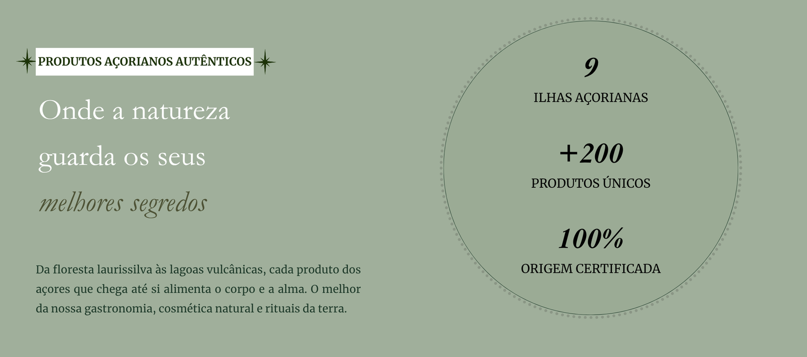 The Jordan Super.Fly MVP