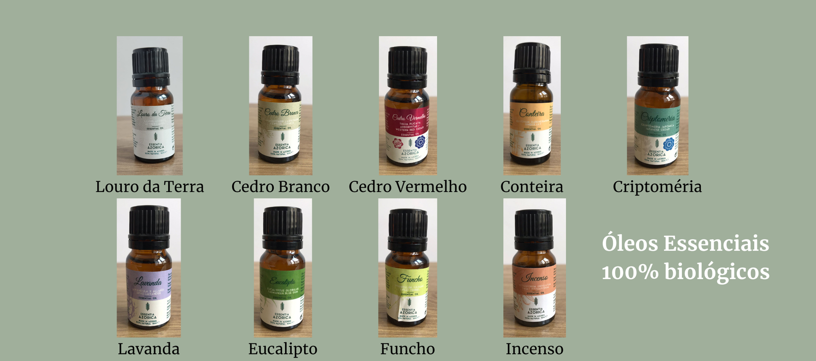 The Jordan Super.Fly MVP