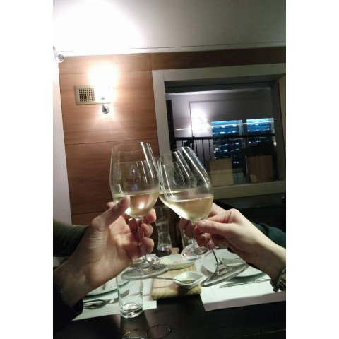 Um ano de Refúgio Verde!