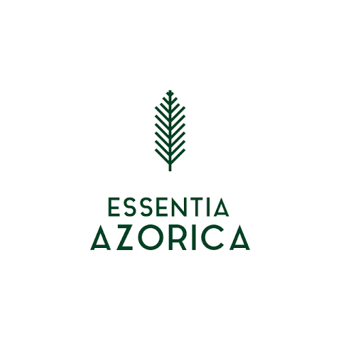 Aromaterapia: um regresso ao essencial com a natureza dos Açores